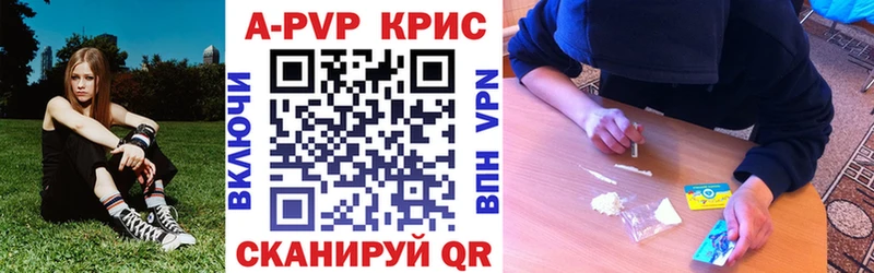 Купить  Зверево  A PVP крисы CK 