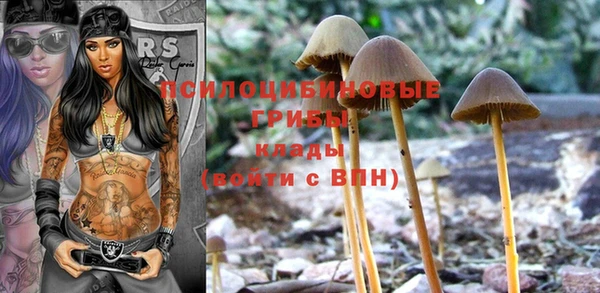 MDMA Карталы
